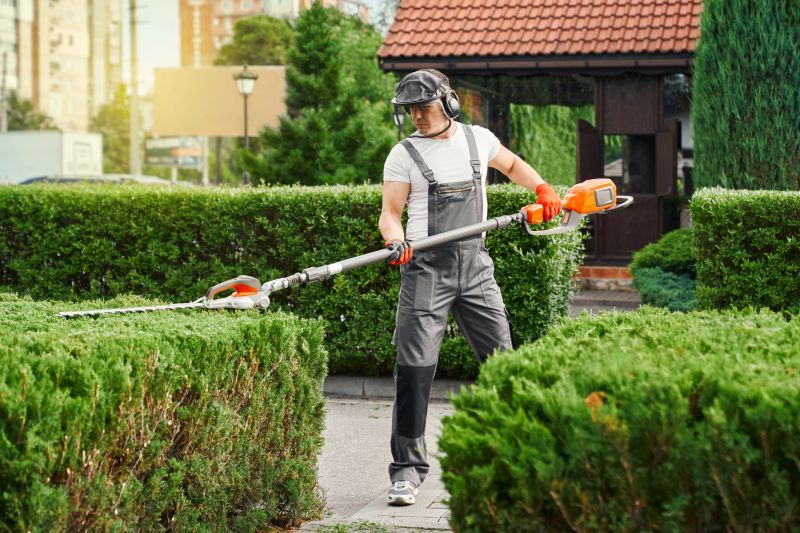 Increase Your Hedge Trimming Business with an AI Driven, Targeted Website