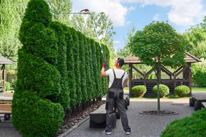 Hedge Trimming