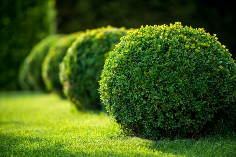 Trimmed Bushes with Sharp Edges