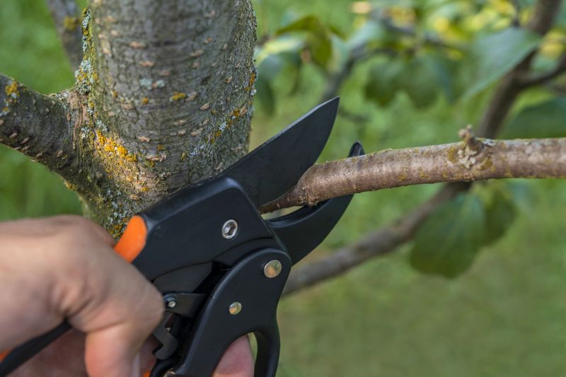Close-Up of Pruning Tools