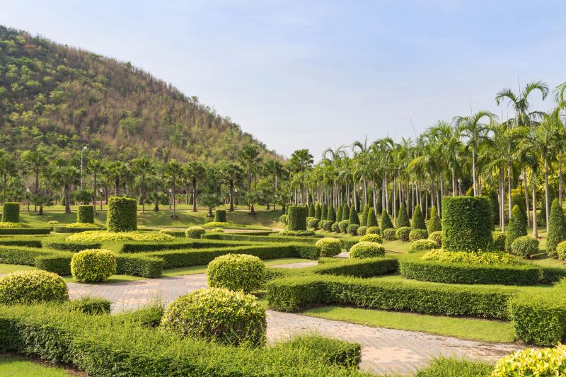 Overgrown vs. Trimmed Shrubs